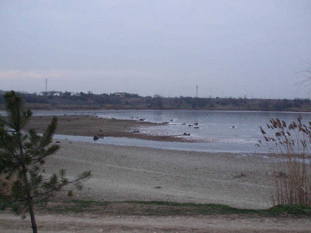 TANCABESTI SECAT - DSCF3481.jpg